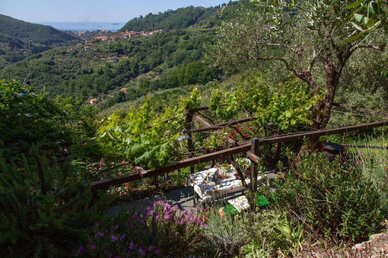 Pietrantica - Affittacamere Con Giardino Nuova Apertura A Trebiano -Citr Exterior photo